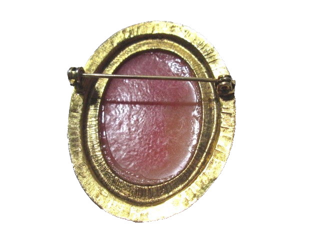 CLASSIC STYLE CARVED LUCITE CAMEO PIN GOLD TONE FANCY SETTING VINTAGE