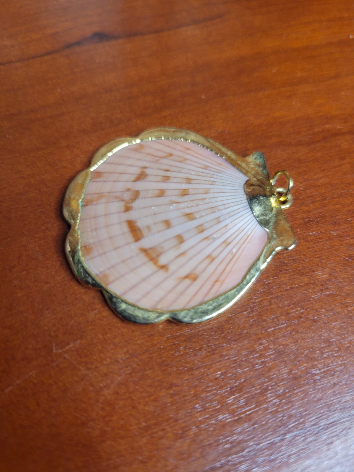 Natural Sea Shell Gold Trim Pendant