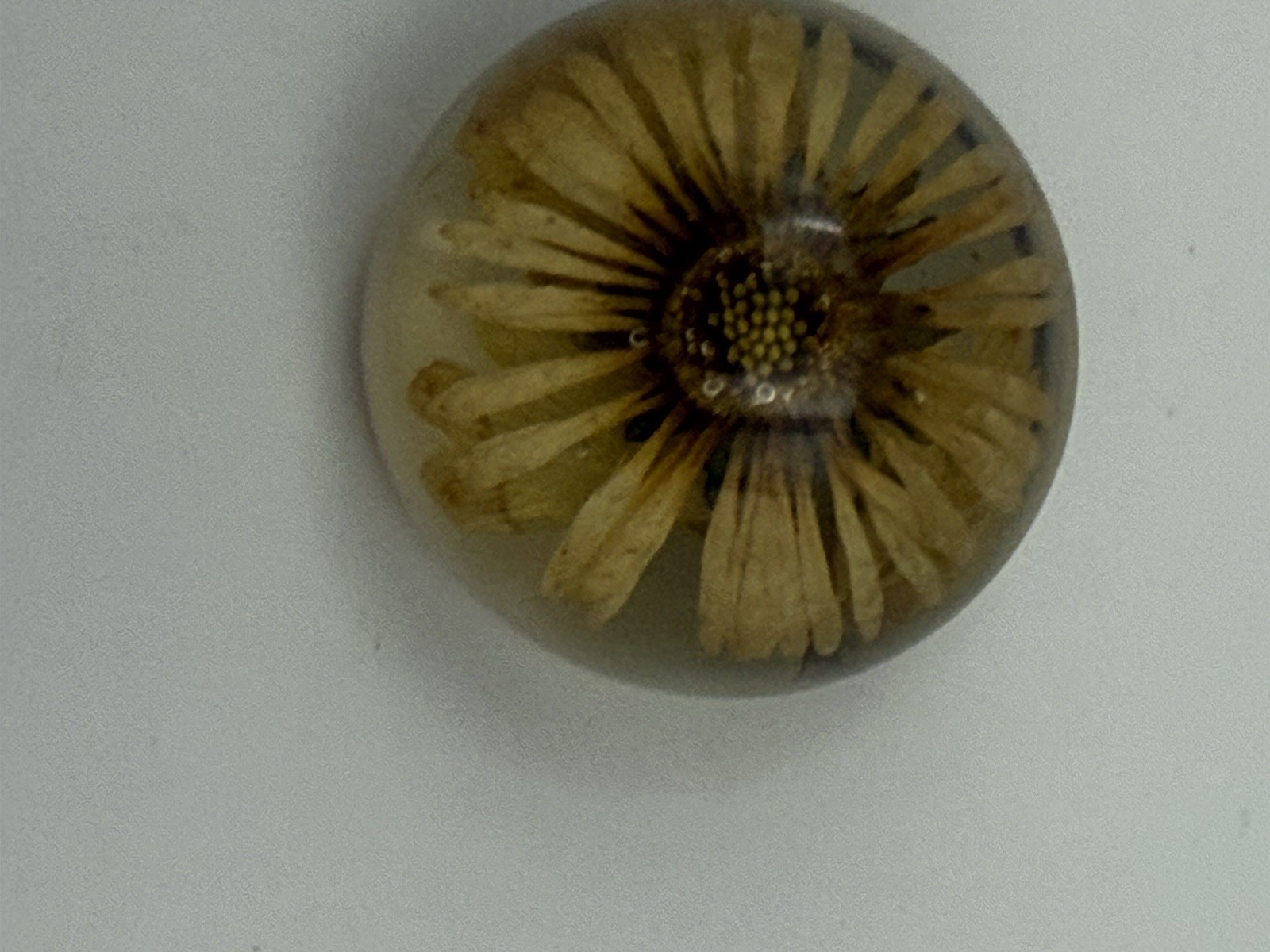 Vintage little Brooch, Flower inside cute for every day to be special , Round