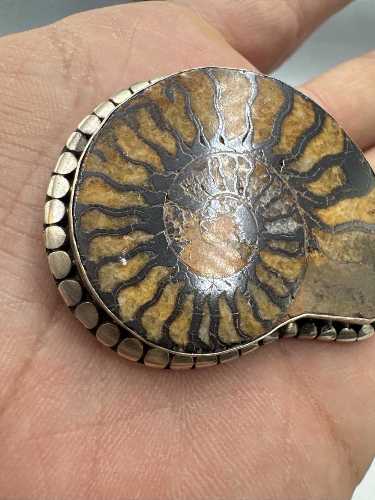 Vintage Sterling Silver Ammonite Fossil Brooch 20g Almost 2”