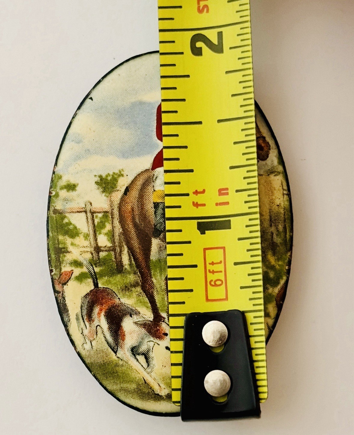 Equestrian Reverse Painted Glass Cabochon Brooch Pin Horse 2 Rosettes & 1 Pin