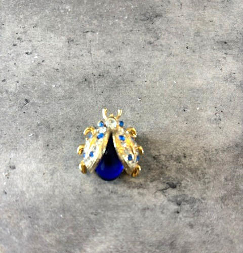 Lot Of 6 Vintage Lady Bug and other bug/insects Brooch Pin