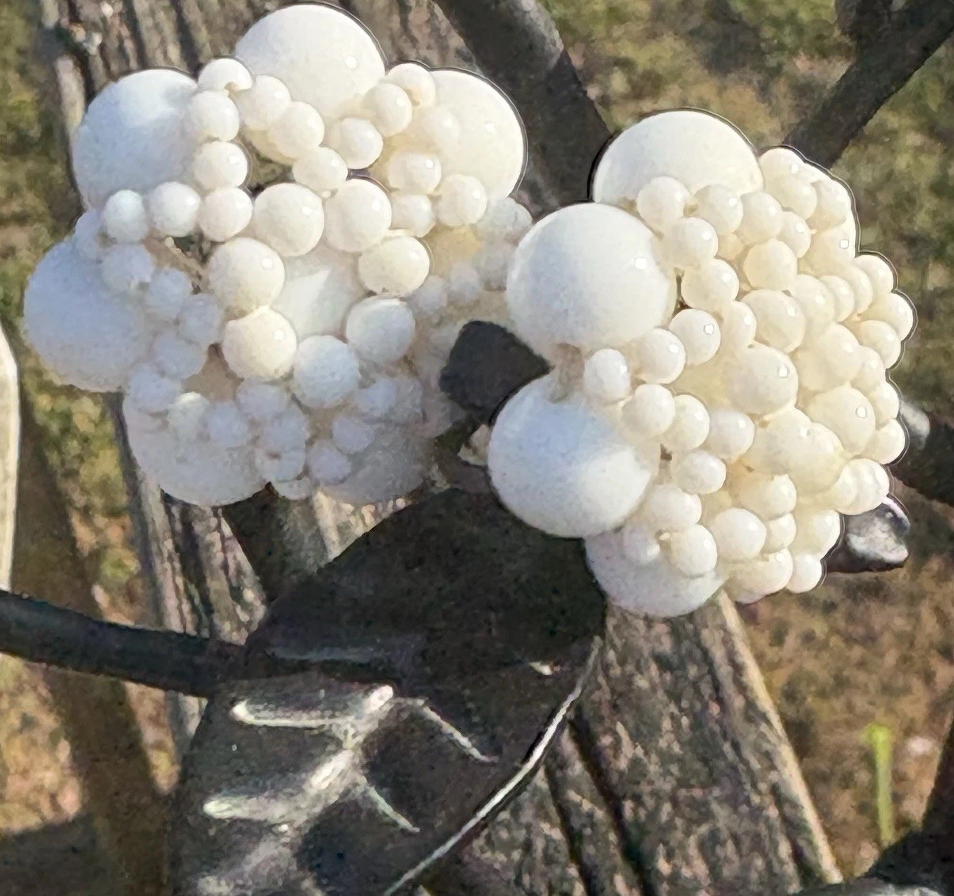 Vintage Japan White Cluster Earrings Screwback Grape Bead Bridal Cottagecore