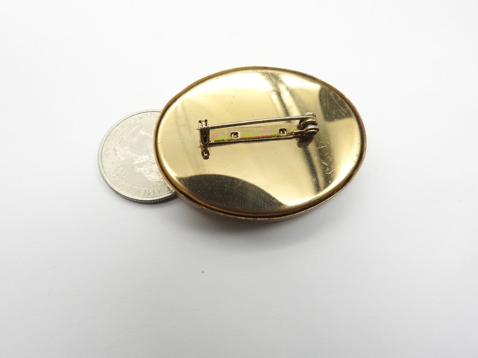Oval Blue Peach Brown Pressed Dried Flower Gold Tone Metal Brooch Vintage