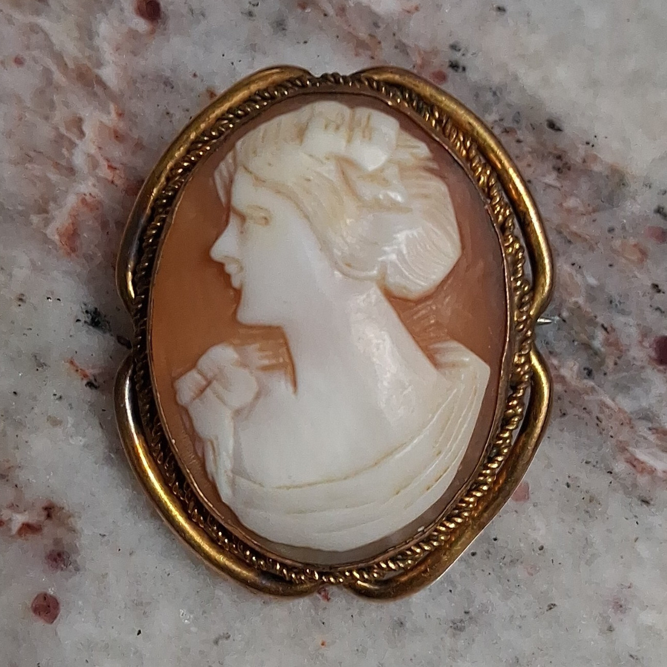 Vintage Shell Cameo Brooch Gold Tone Left Facing Lady Portrait