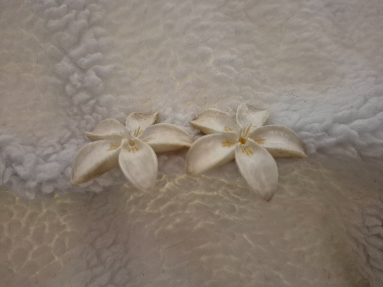 plumeria hawiian flower screw back (clip-on) earrings, made of shells? (not sure