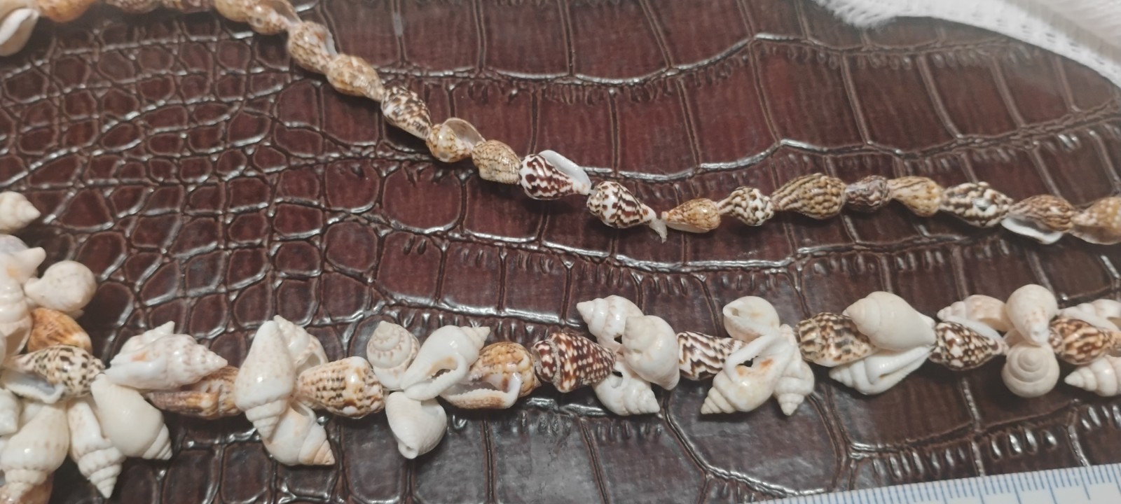 Vintage Boho Natural Small Conch Sea Shell Necklace 36” LONG! Quality Handmade