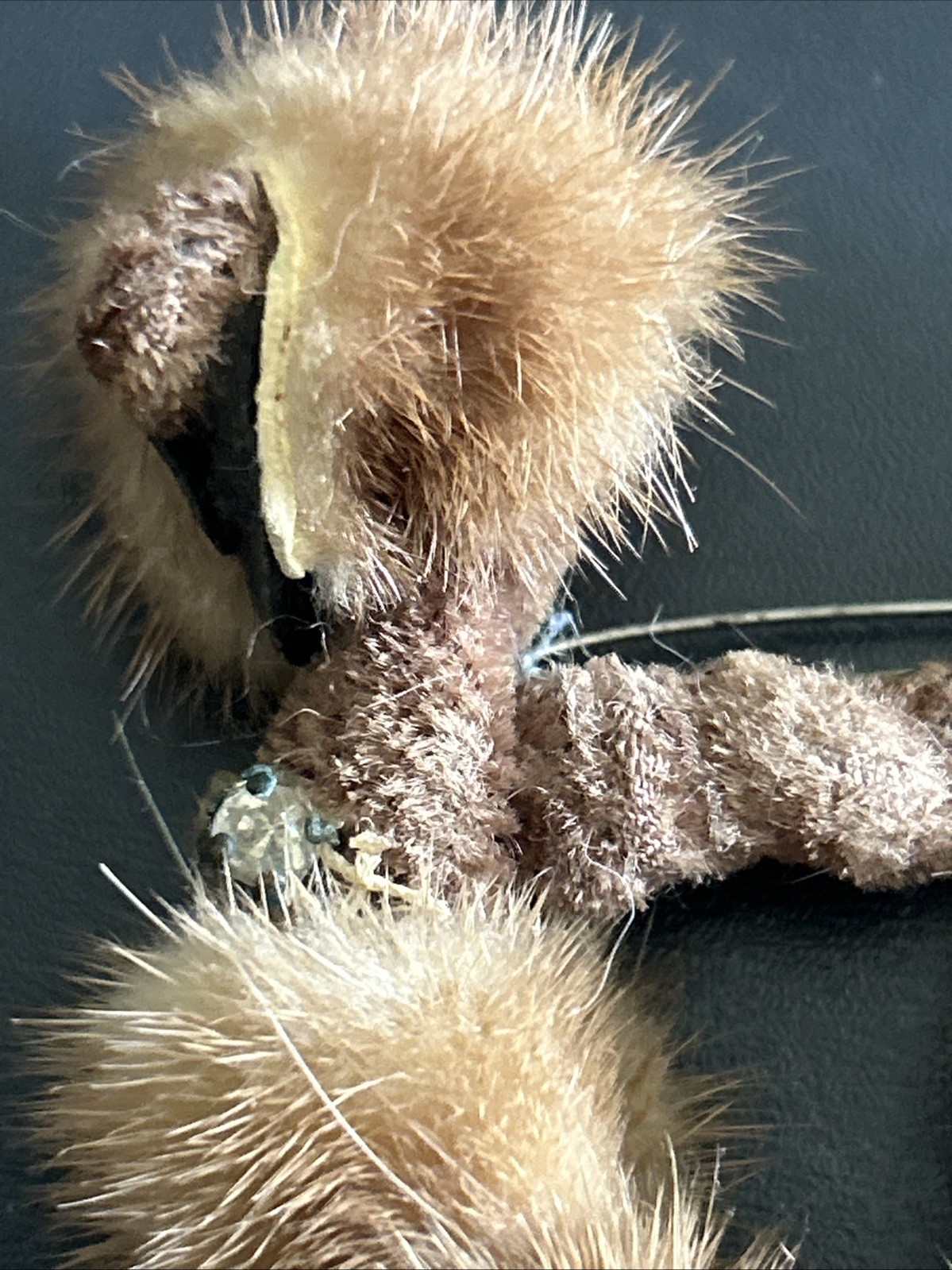 Vintage 1950’s Genuine Mink Poodle Pin Brown White Tail, Rhinestone Collar
