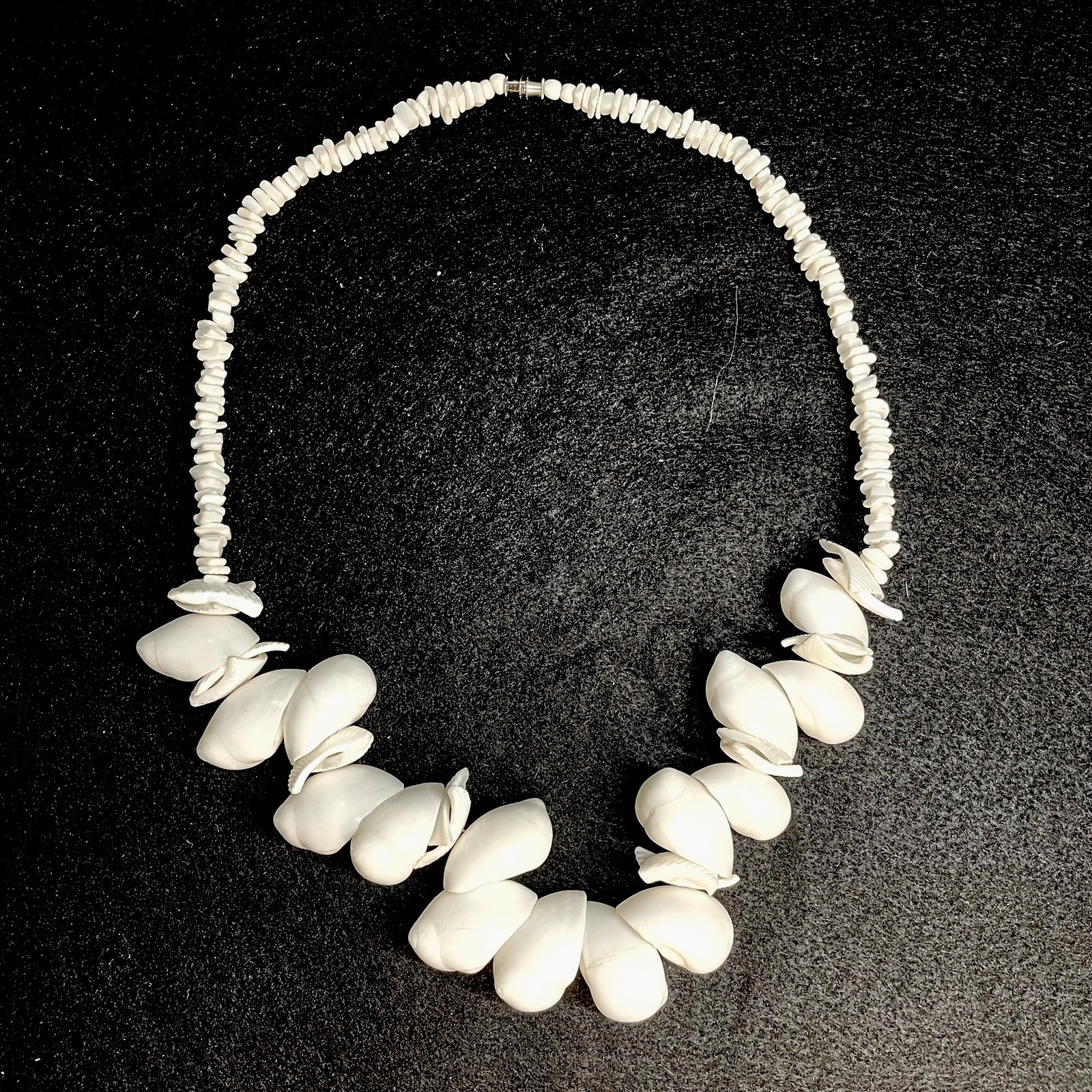 VTG Shell Necklace White Milk Moon Caribbean Snail and Cockle Shell 22 Inches