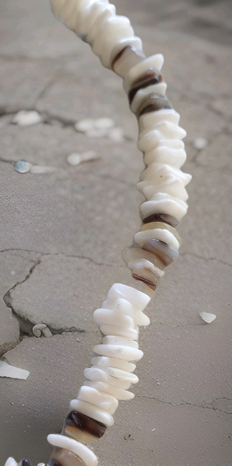 Set of Authentic Puka Shell Choker Necklaces, White & Brown & Black Shell Chips