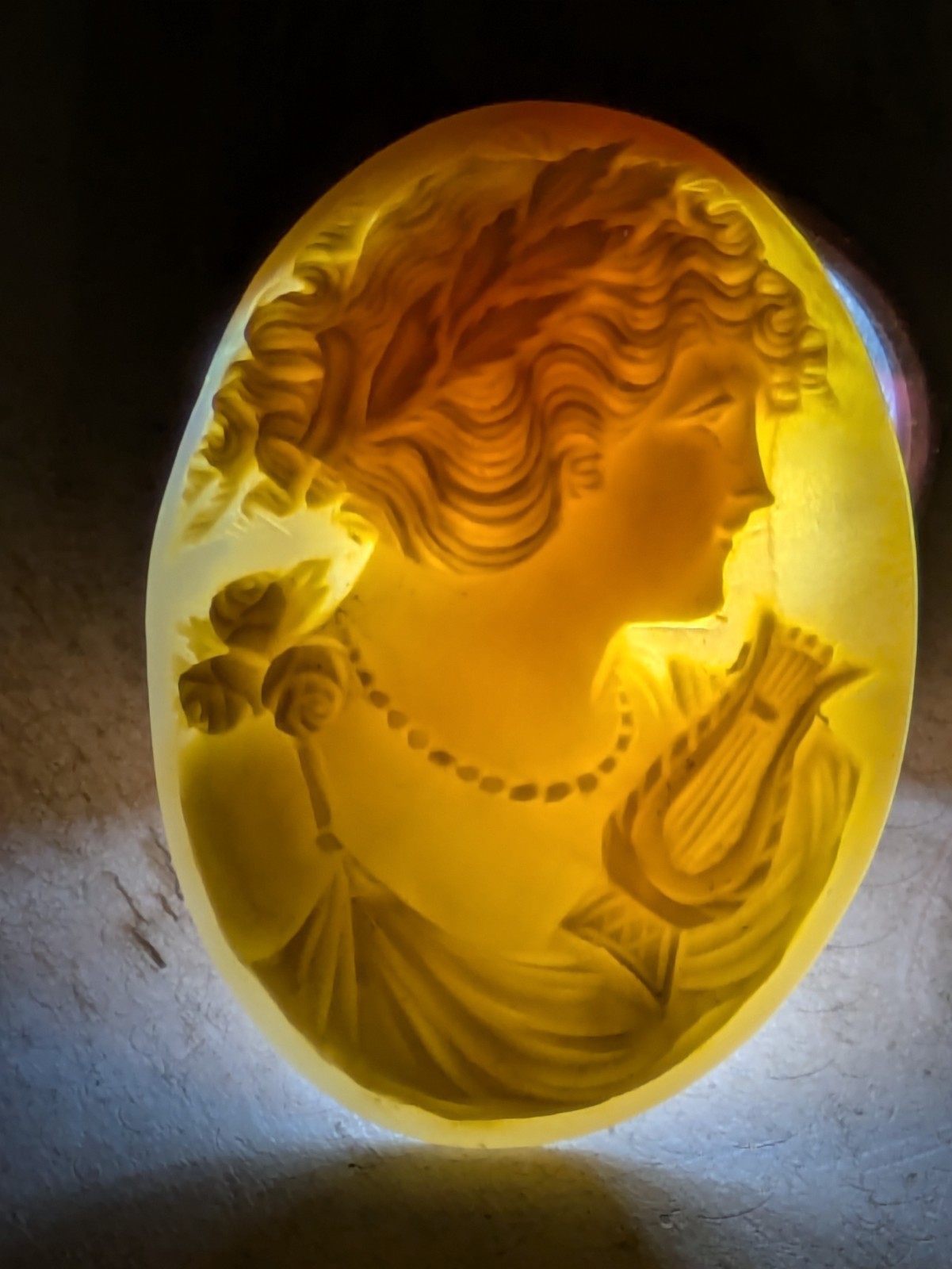 Cameo Carved Loose 45mm X 35mm Shell (5.3g)