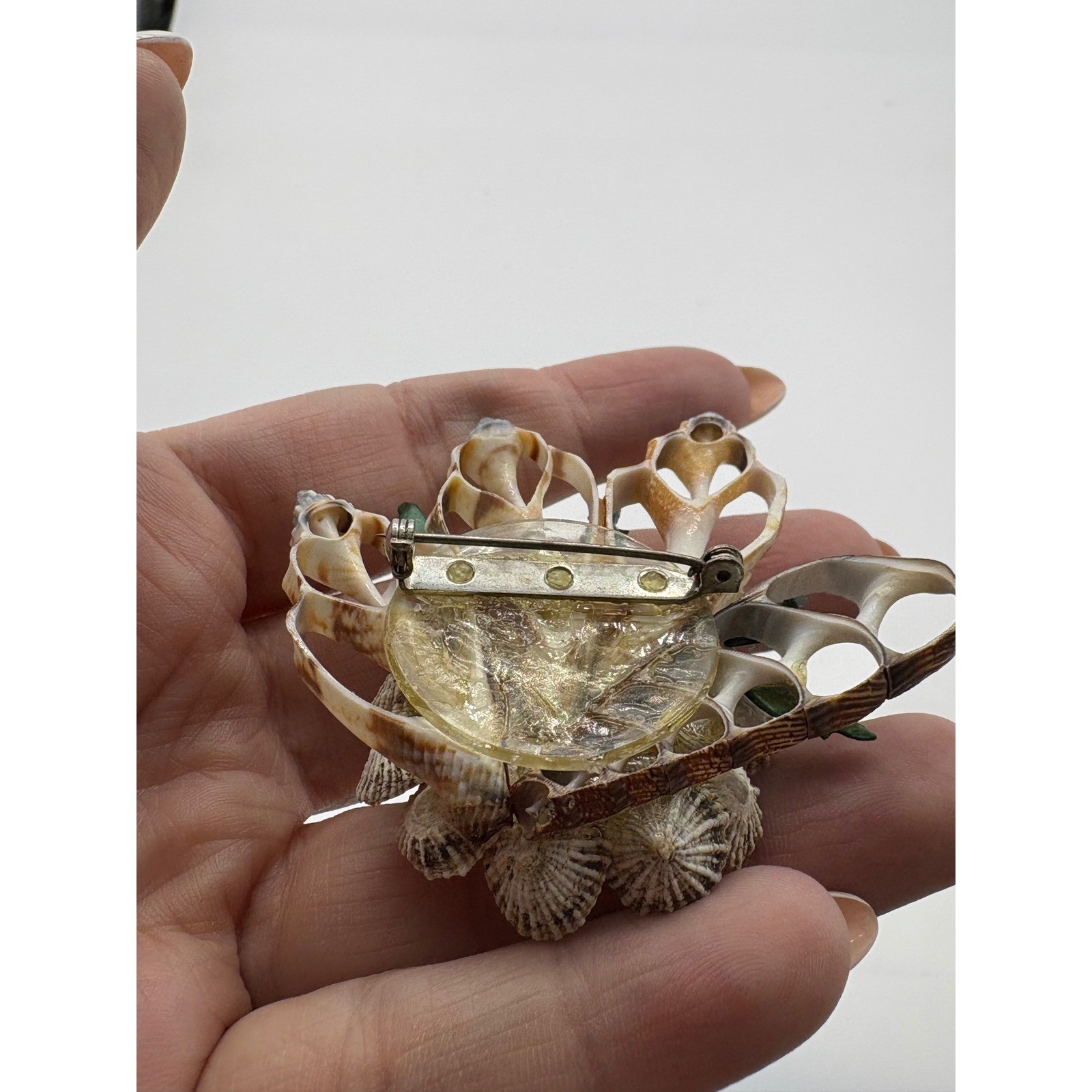 Vintage Natural Sea Shell Flower Brooch with Faux Pearl Accents Coastal Pin