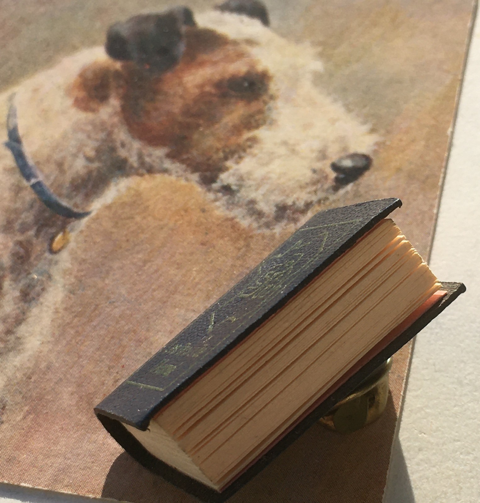 FRENCH RARE 1970s ANIMAL RIGHTS PIN BROOCH~SMALL BOOK SHAPE~UNIQUE VINTAGE GIFT