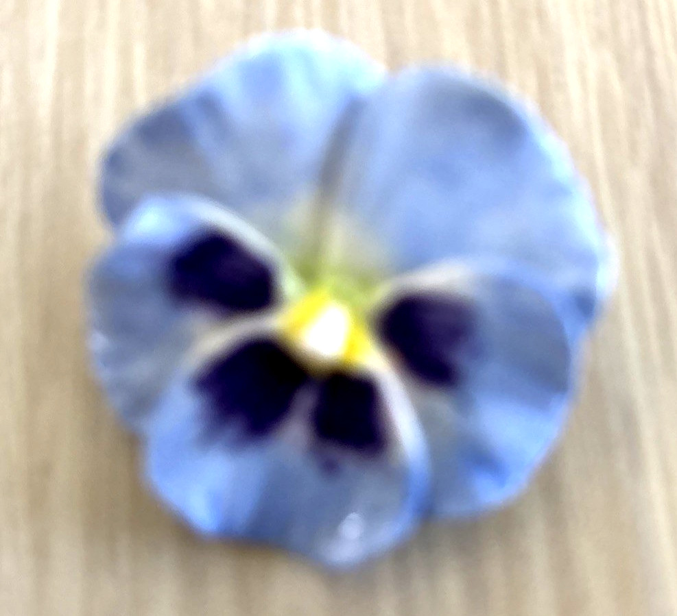 VINTAGE HANDMADE. PANSY BROOCH APPROXIMATELY 1 1/2″ JW 155