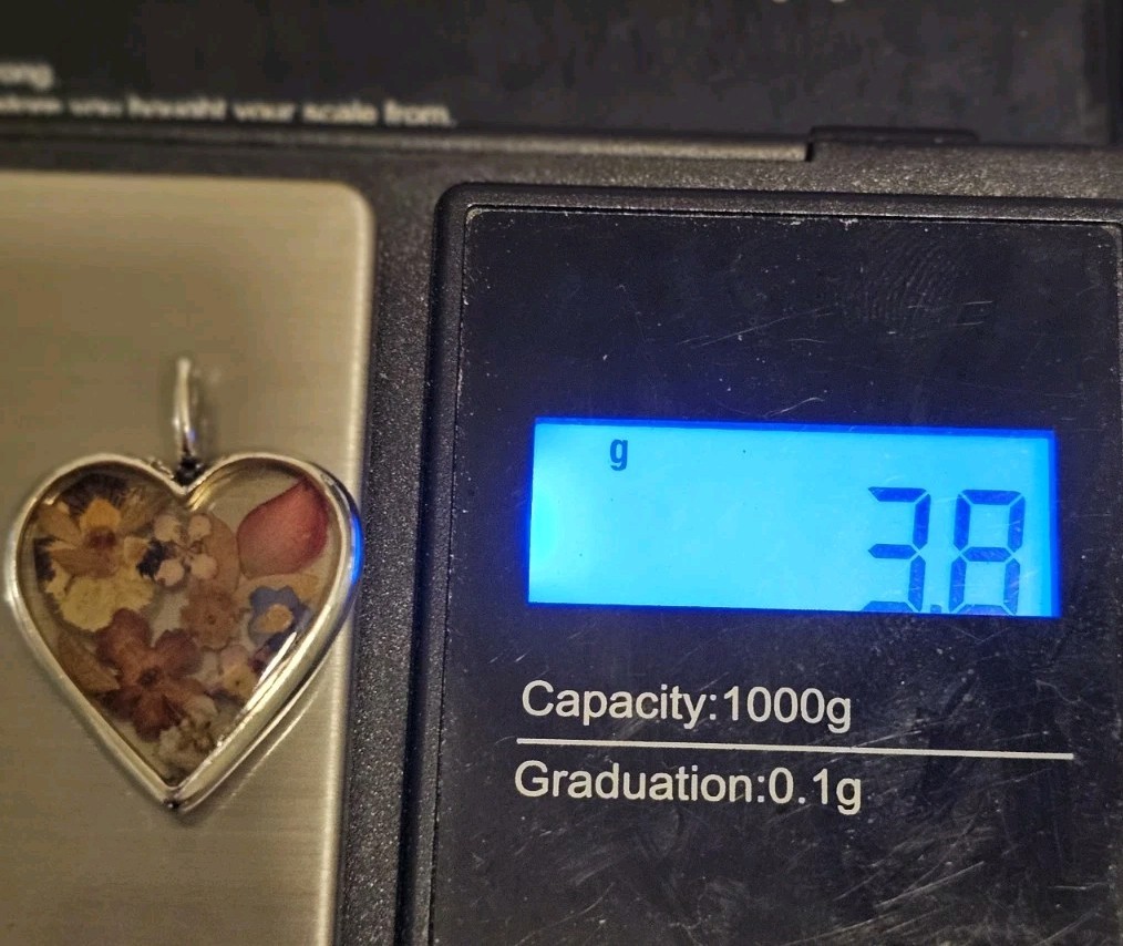 Sterling Art Deco Heart ❤ Pendant ATI Mexico Real Dried Flowers in Resin #S53/01