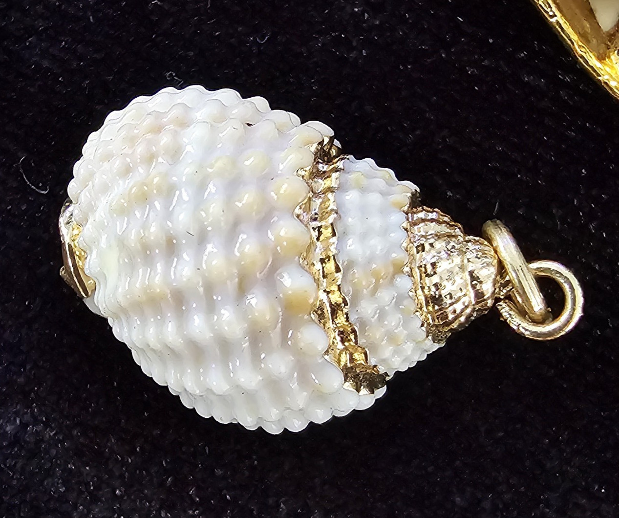 Lot of 4 Gold Rim Natural Sea Shell Pendant Charm & Dangle Earrings Coastal Boho