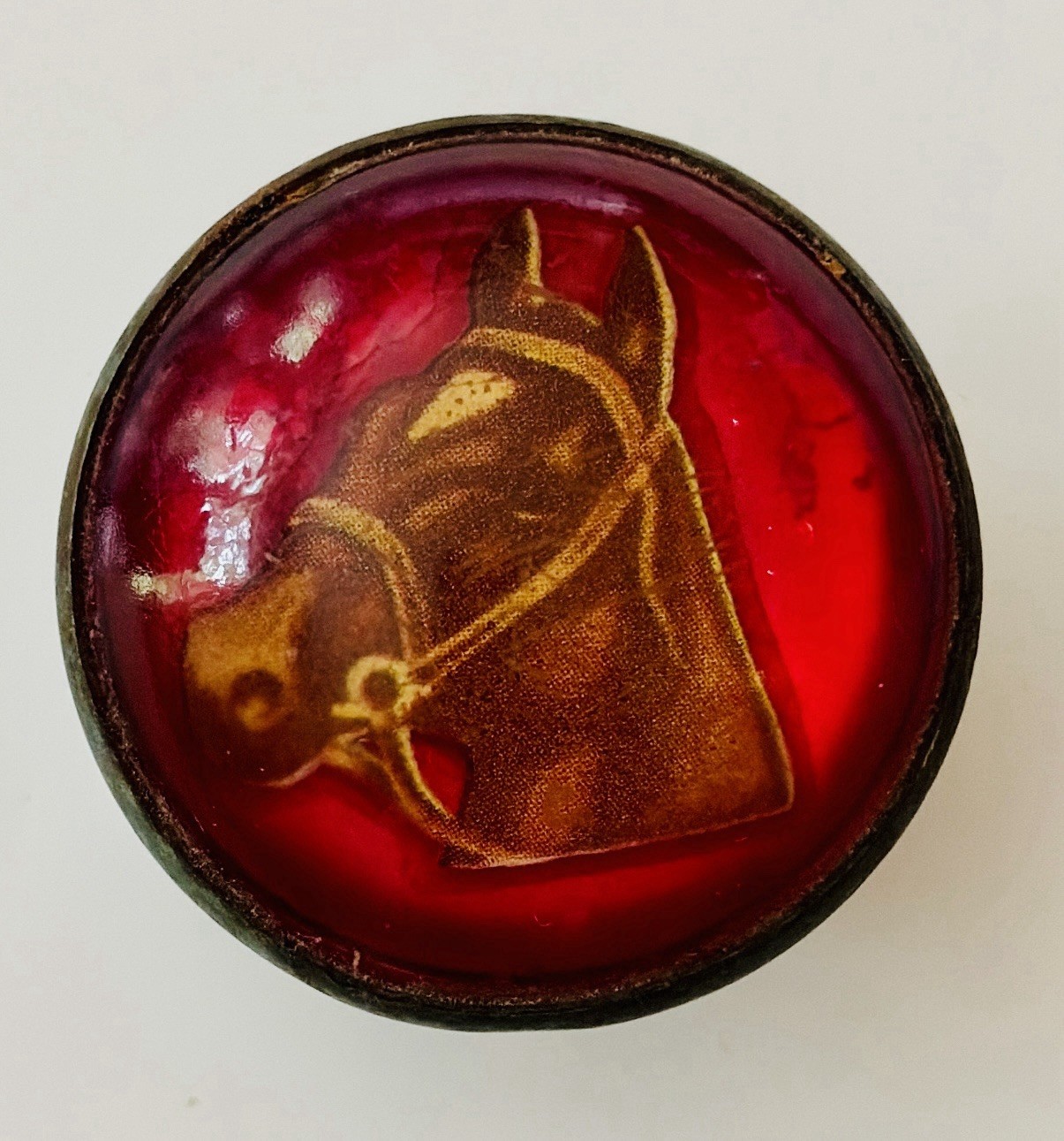 Equestrian Reverse Painted Glass Cabochon Brooch Pin Horse 2 Rosettes & 1 Pin