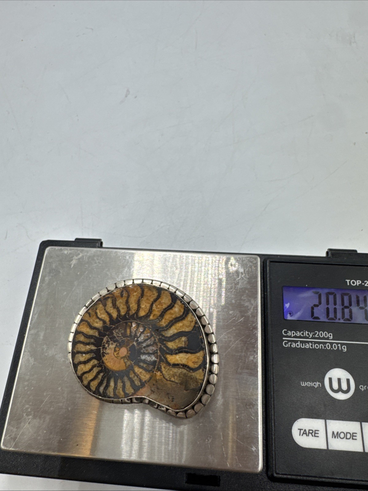 Vintage Sterling Silver Ammonite Fossil Brooch 20g Almost 2”