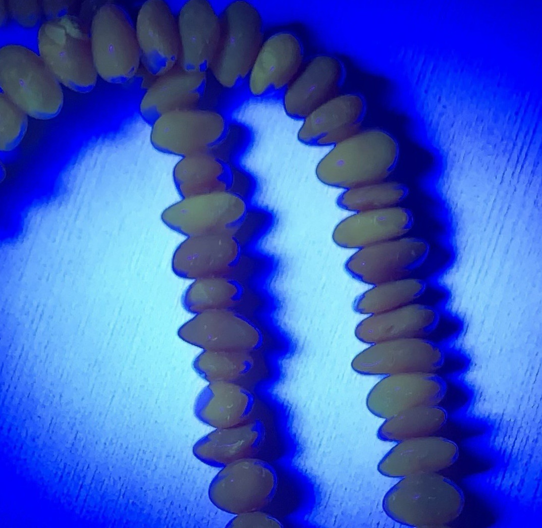 Vtg Baltic Amber Egg Yolk Chip Bead Necklace 31 Grams 24″ Long Pull-Over Style