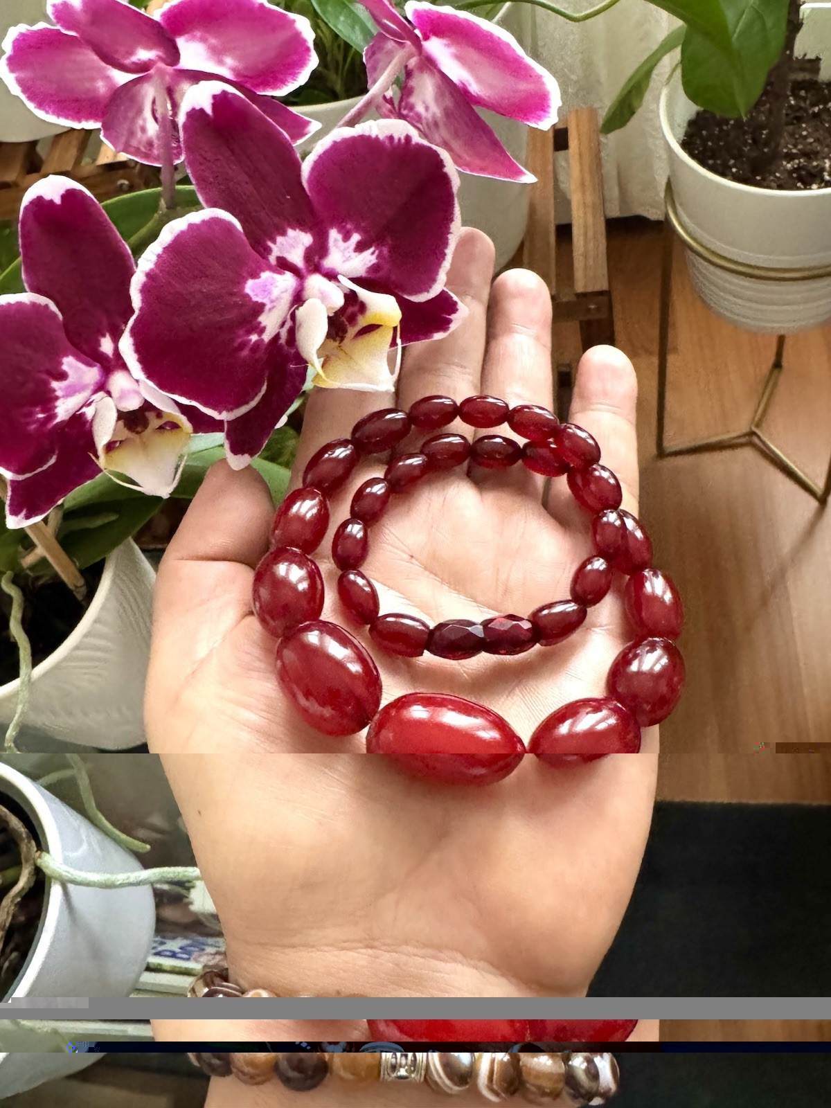 Antique 1920’s Dark Red Cherry Amber Bakelite Graduated Necklace 16.5”in,35grams