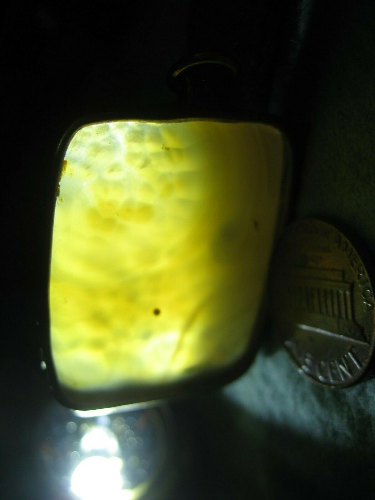 Amber Pendant Suspended Fossil Jellyfish Dandelion Gold Rim 15g 1 1/2″ x 1 1/8″