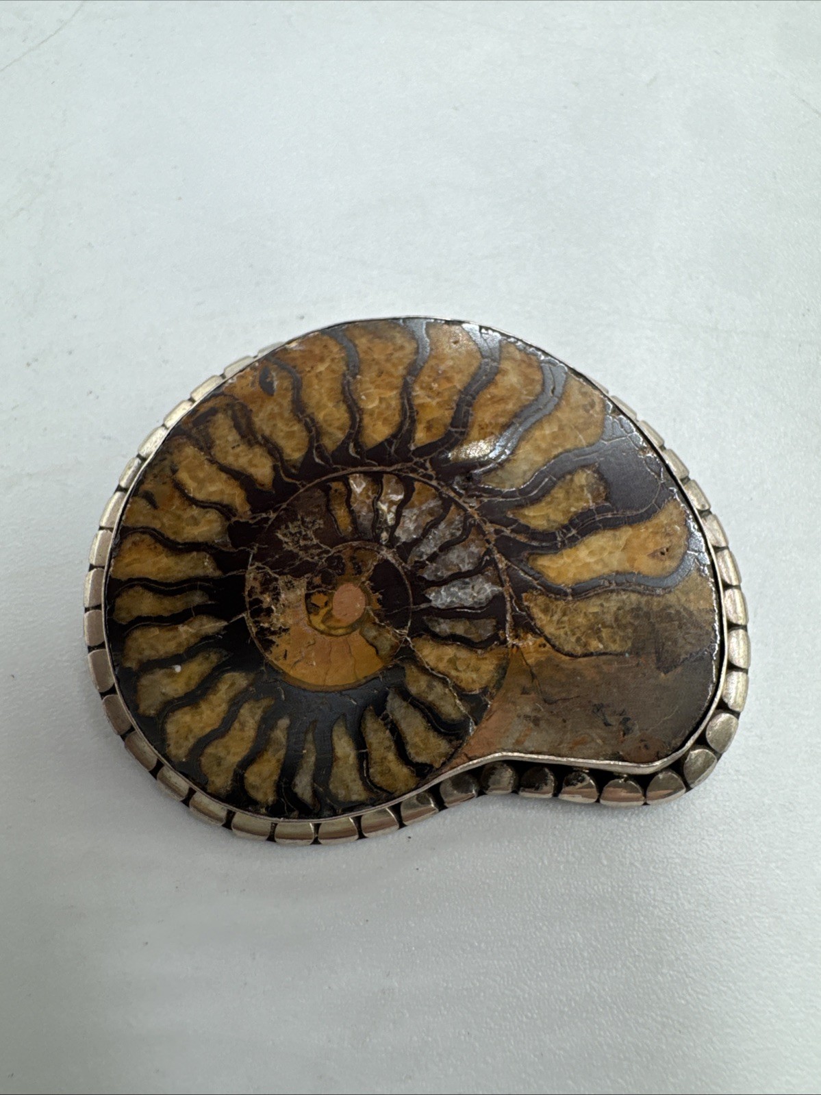 Vintage Sterling Silver Ammonite Fossil Brooch 20g Almost 2”