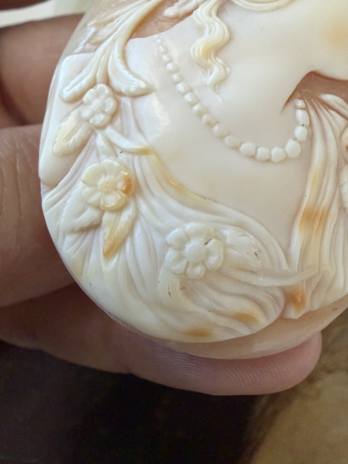 LARGE Victorian Loose Italian Carved Shell Cameo 52x39mm.