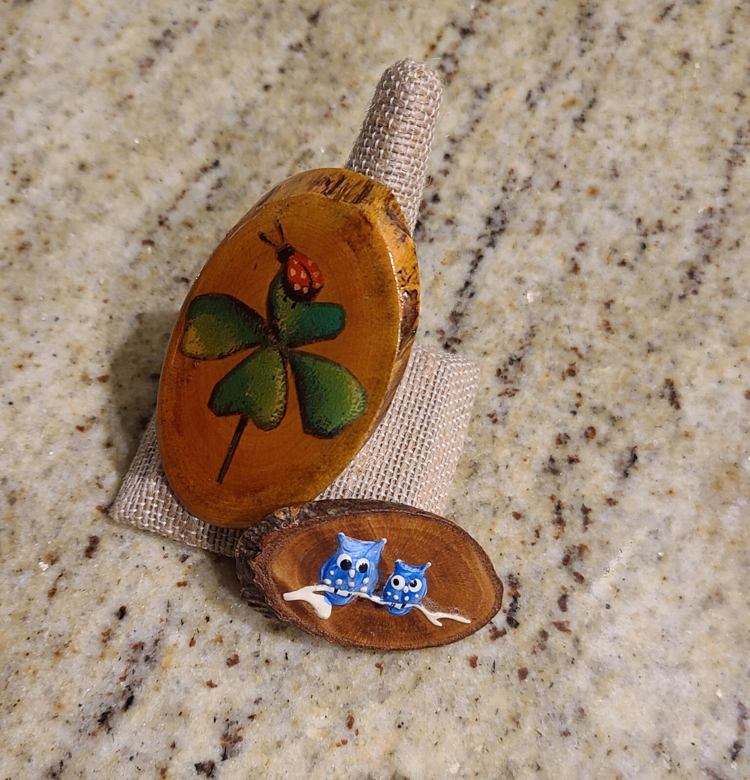 Vintage-Hand Painted Lady Bug & Owl Wood Brooch. Set of 2 Earthy Boho Nature