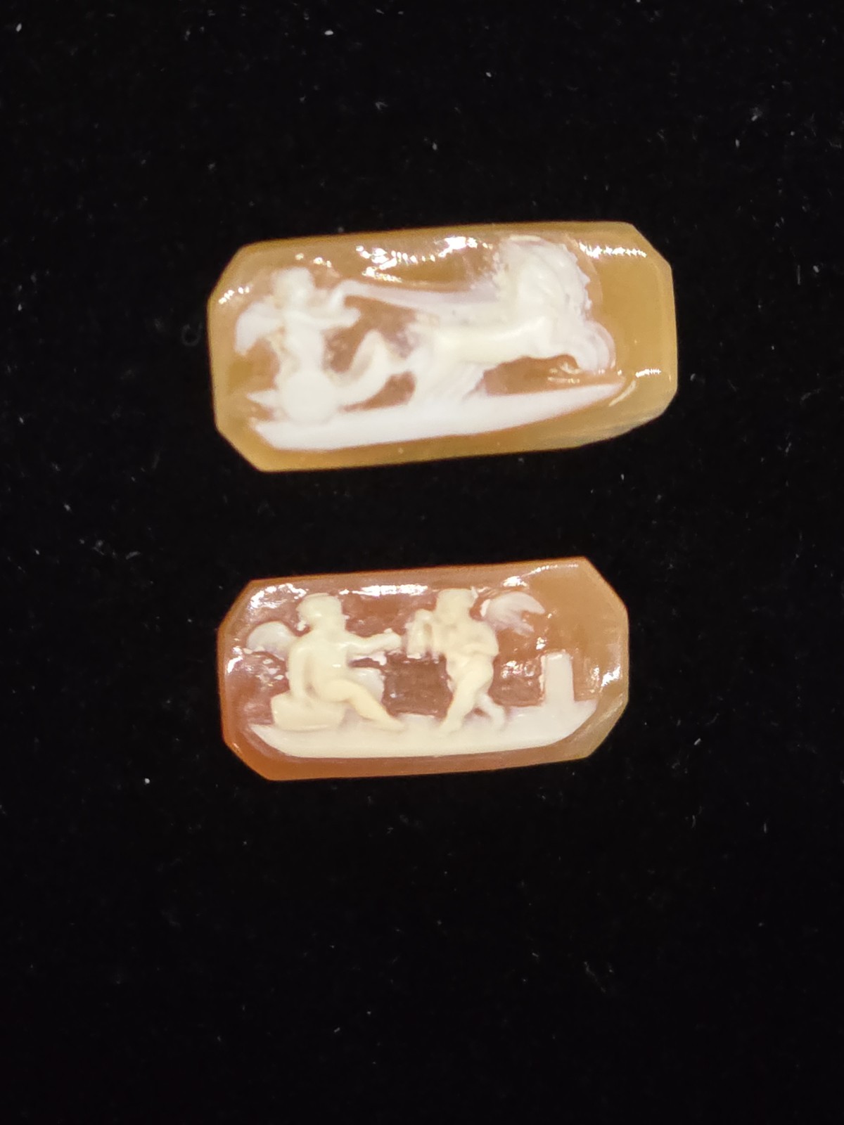 Unset Detailed Ornate Shell Cameos Cherubs Angels Chariot Horse Harp