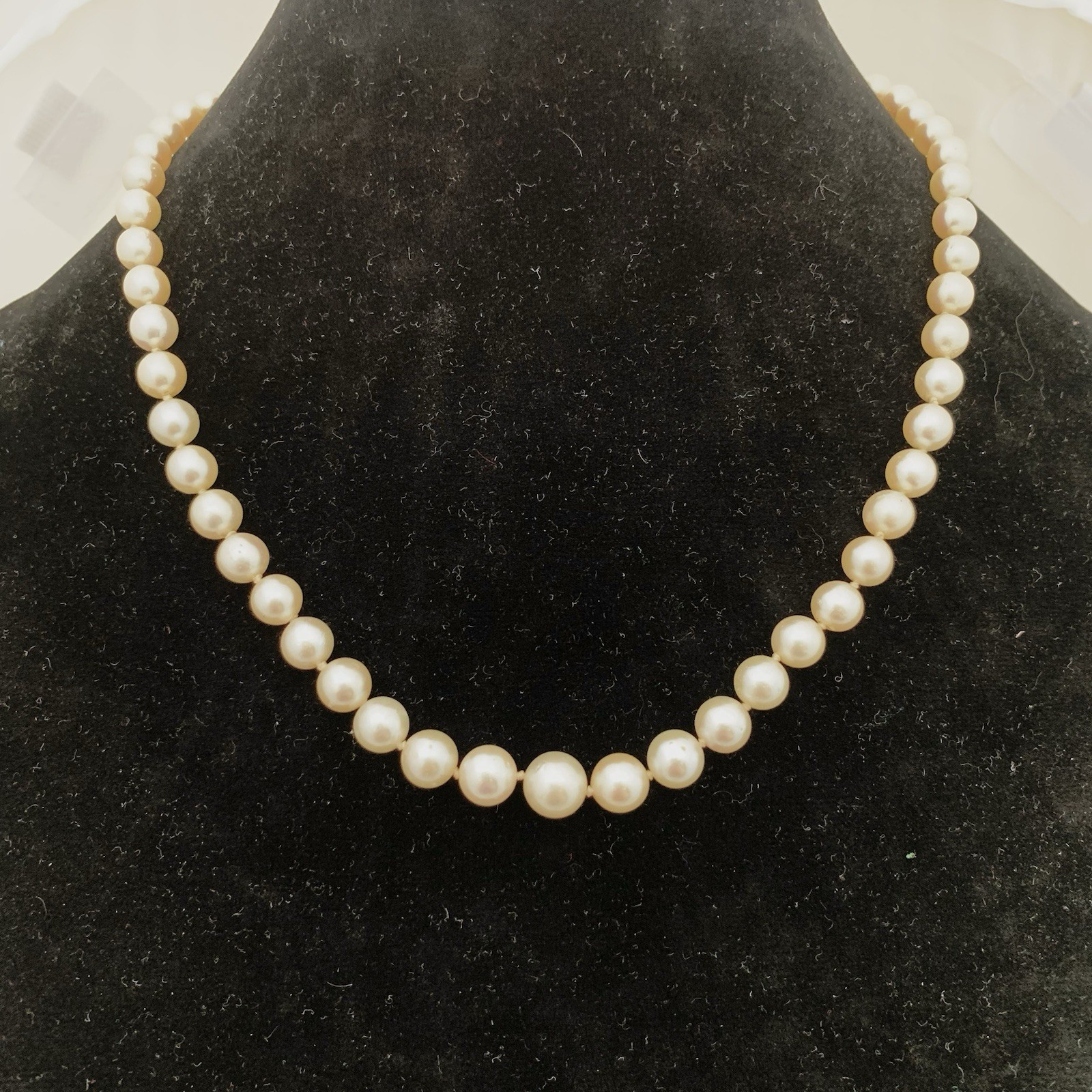 Hi Luster Fuji Akoya Pearl Necklace Strand Cream Graduated AAA+ 10mm VTG 19” WOW