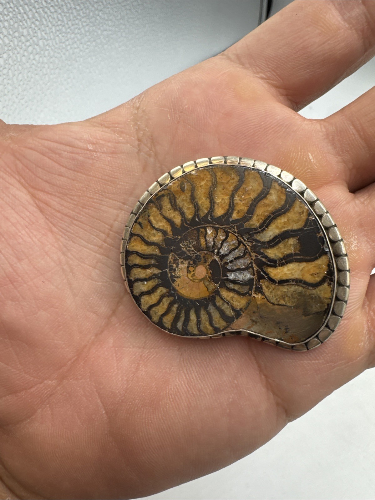 Vintage Sterling Silver Ammonite Fossil Brooch 20g Almost 2”