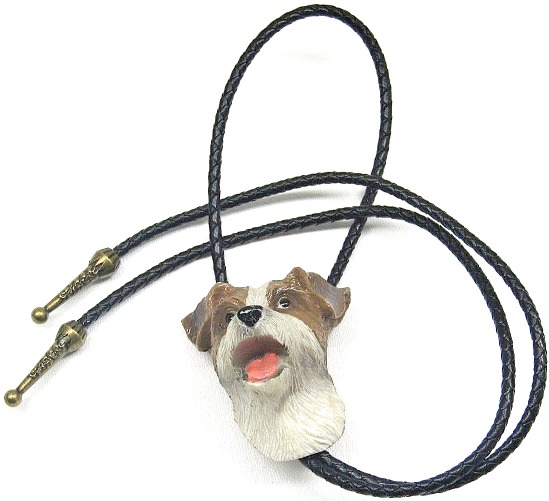 Dog Bolo Tie Border Collie Herding Men Unique Pet Western Men’s Accessory Gift