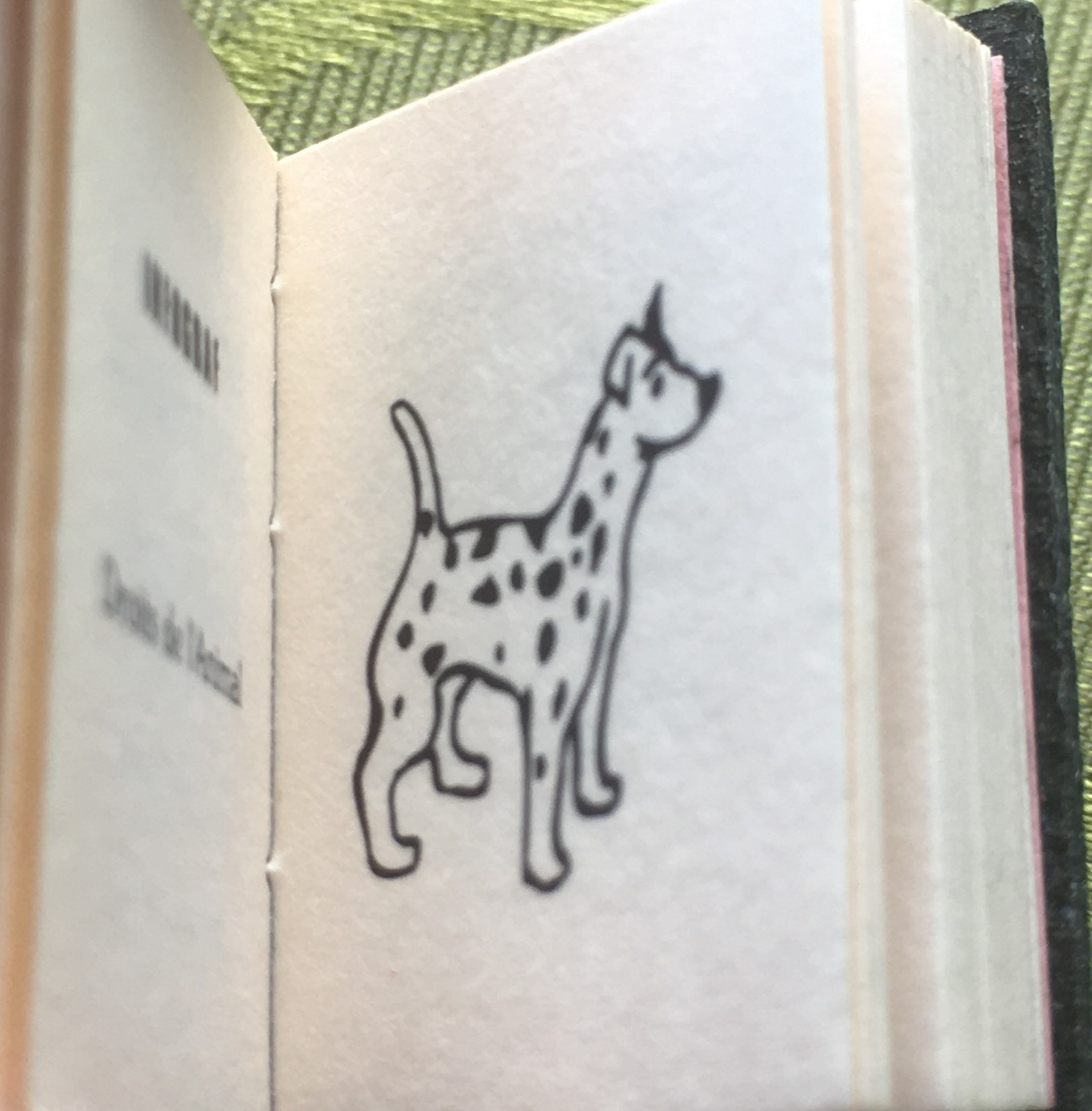 FRENCH RARE 1970s ANIMAL RIGHTS PIN BROOCH~SMALL BOOK SHAPE~UNIQUE VINTAGE GIFT