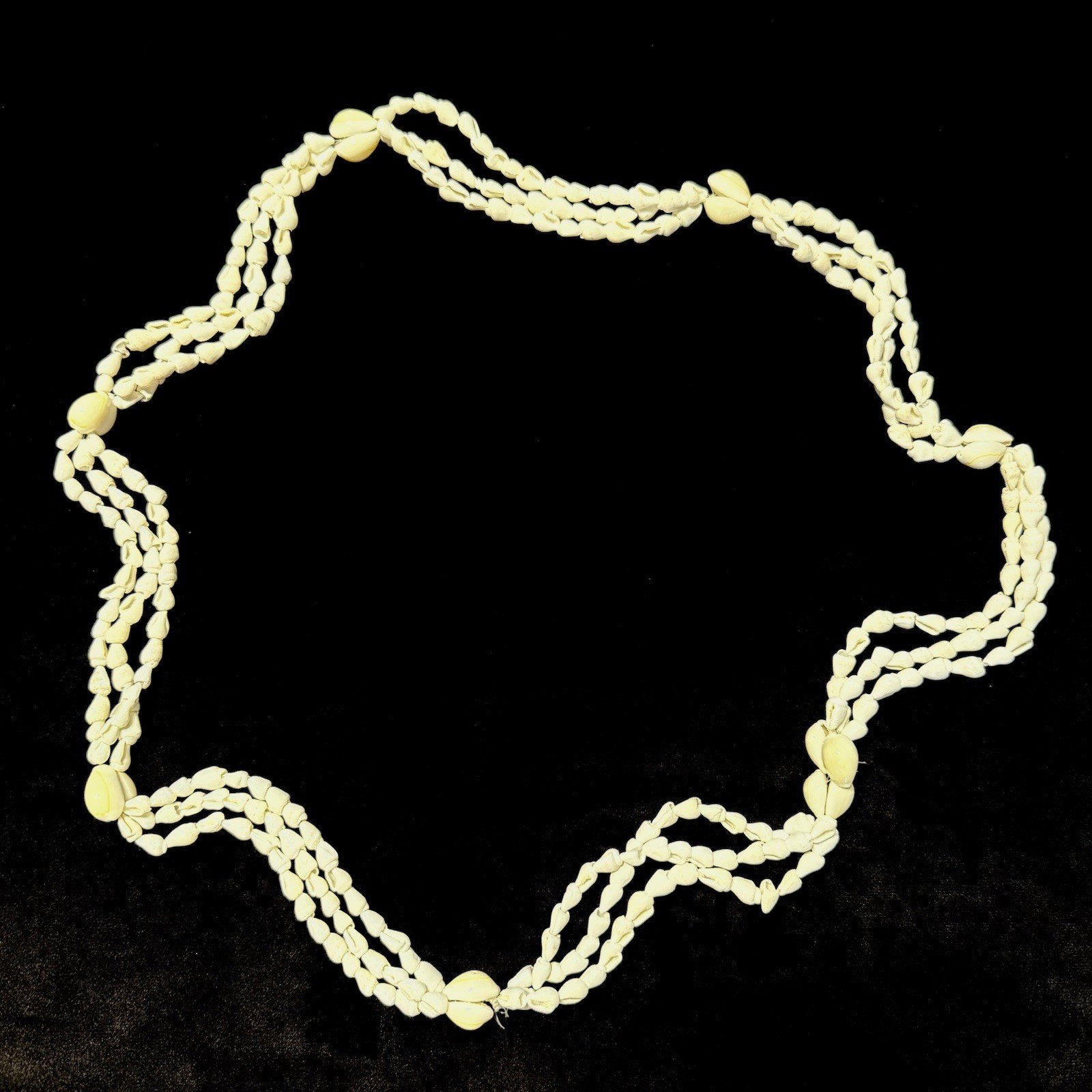 Vtg Seashell Necklaces & Leis Collection Lot Of 6 Hawaii Style Garlands N