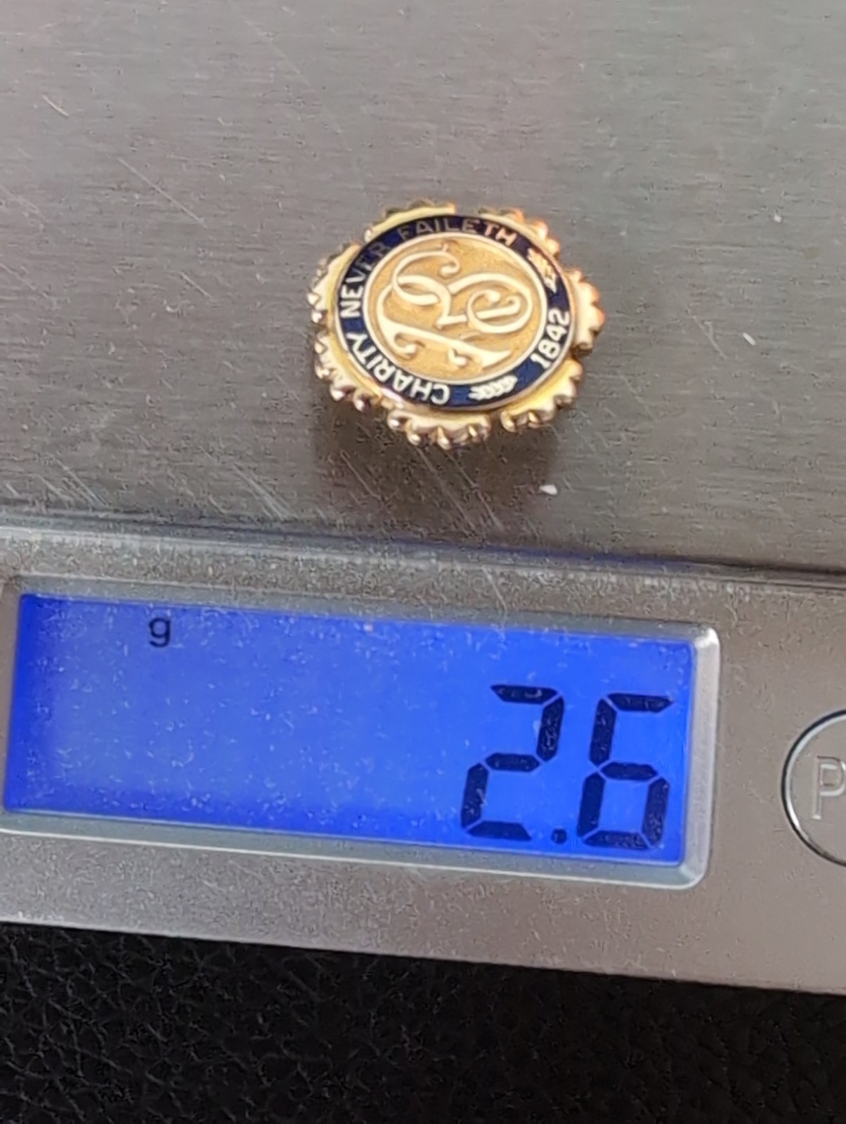 Gold Filled LDS Mormon Relief Society Charity Never Faileth Lapel Pin 1/10 12k