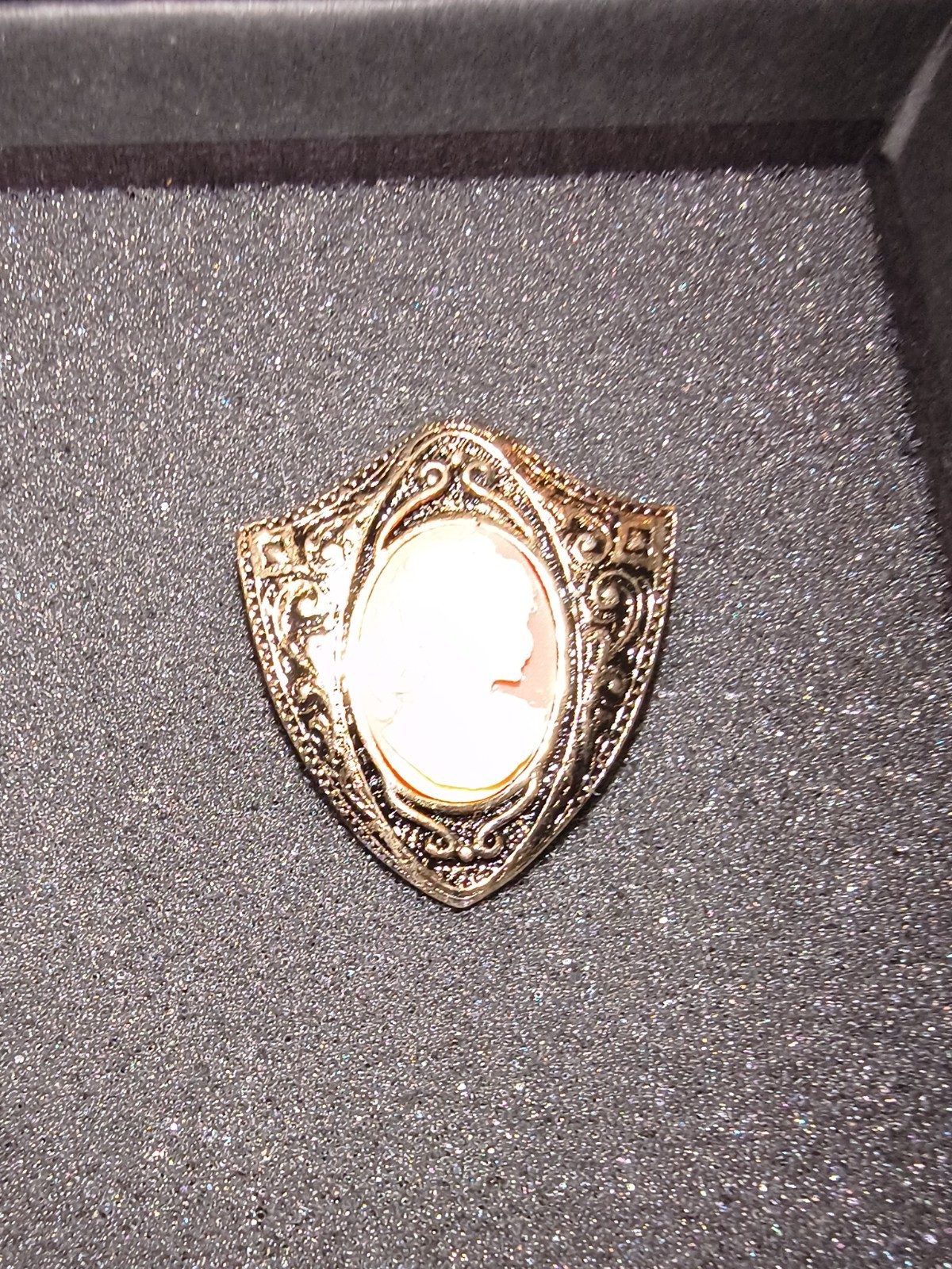 Gold Tone Shield Frame Oval Cameo Portrait Brooch Pin Orange Cream