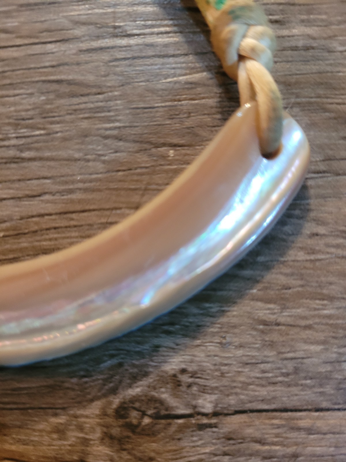 vintage boho choker necklace curved abalone shell pendant on a leather cord