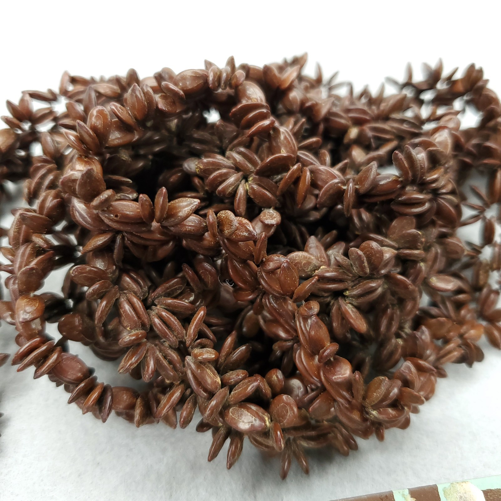 Vintage Koa Seed Necklace Earring Set Brown Long Lei Hawaii Boho Tiki 50″
