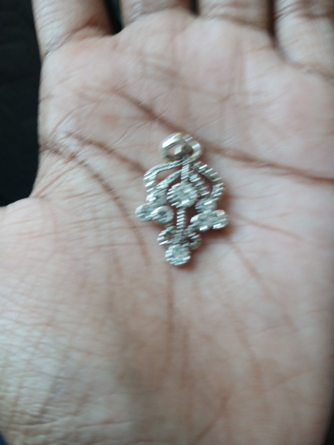 Dimond Necklace Piece Pinned