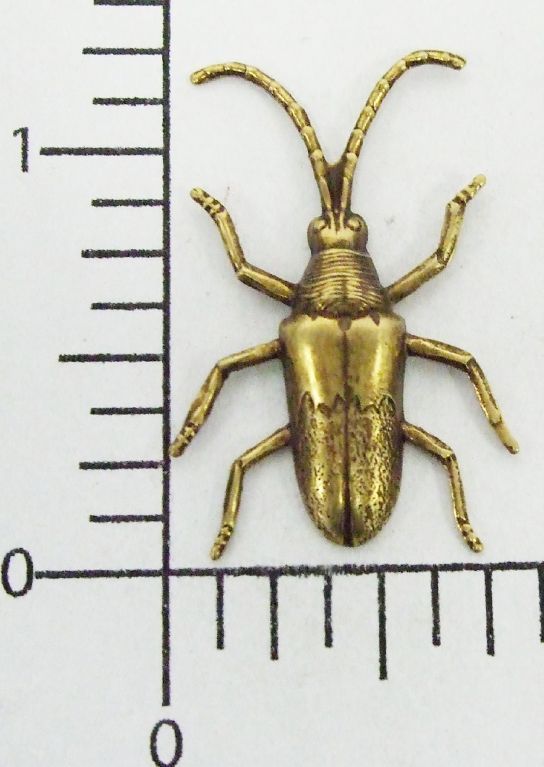 34443 2 Pc – Brass Oxidized Large Beetle Jewelry Finding