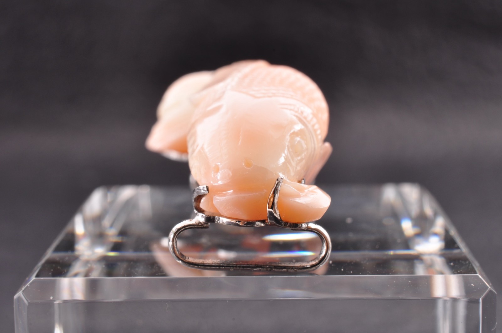 925 silver metal, Angel skin coral OBIDOME “Carp” Certificate, (total 51.0ct).