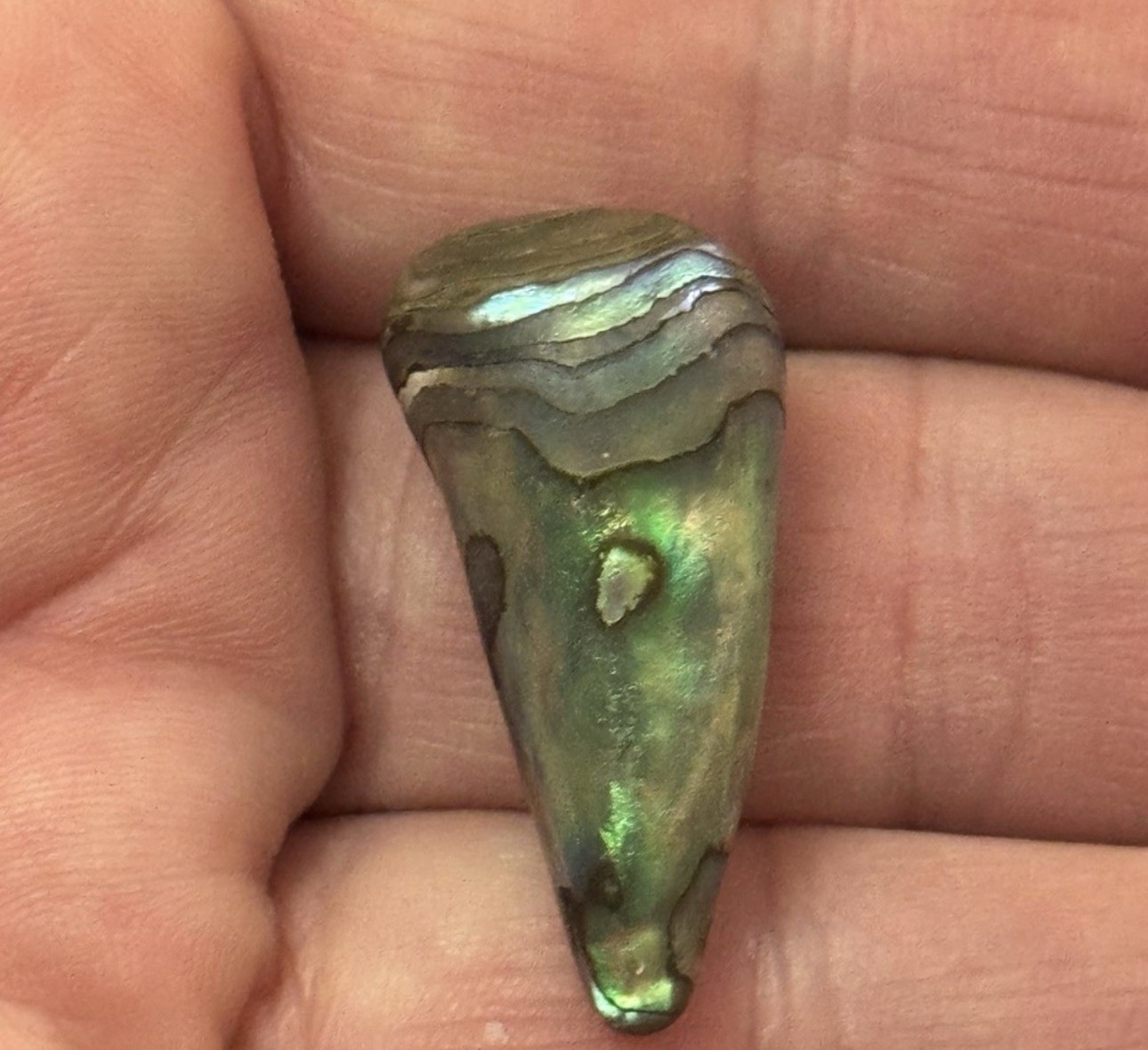 Rare Beautiful Exquisite Abalone Pearl found In Ocean In American Samoa