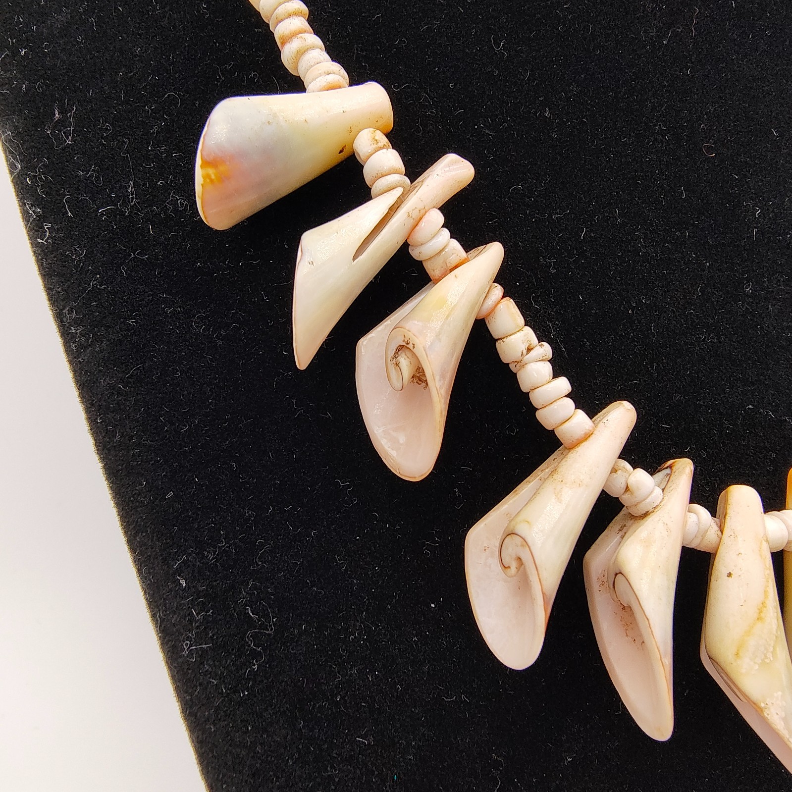 Vintage Spiny Shell Choker Necklace Natural Bohemian Beach Surfer Vibe 16″