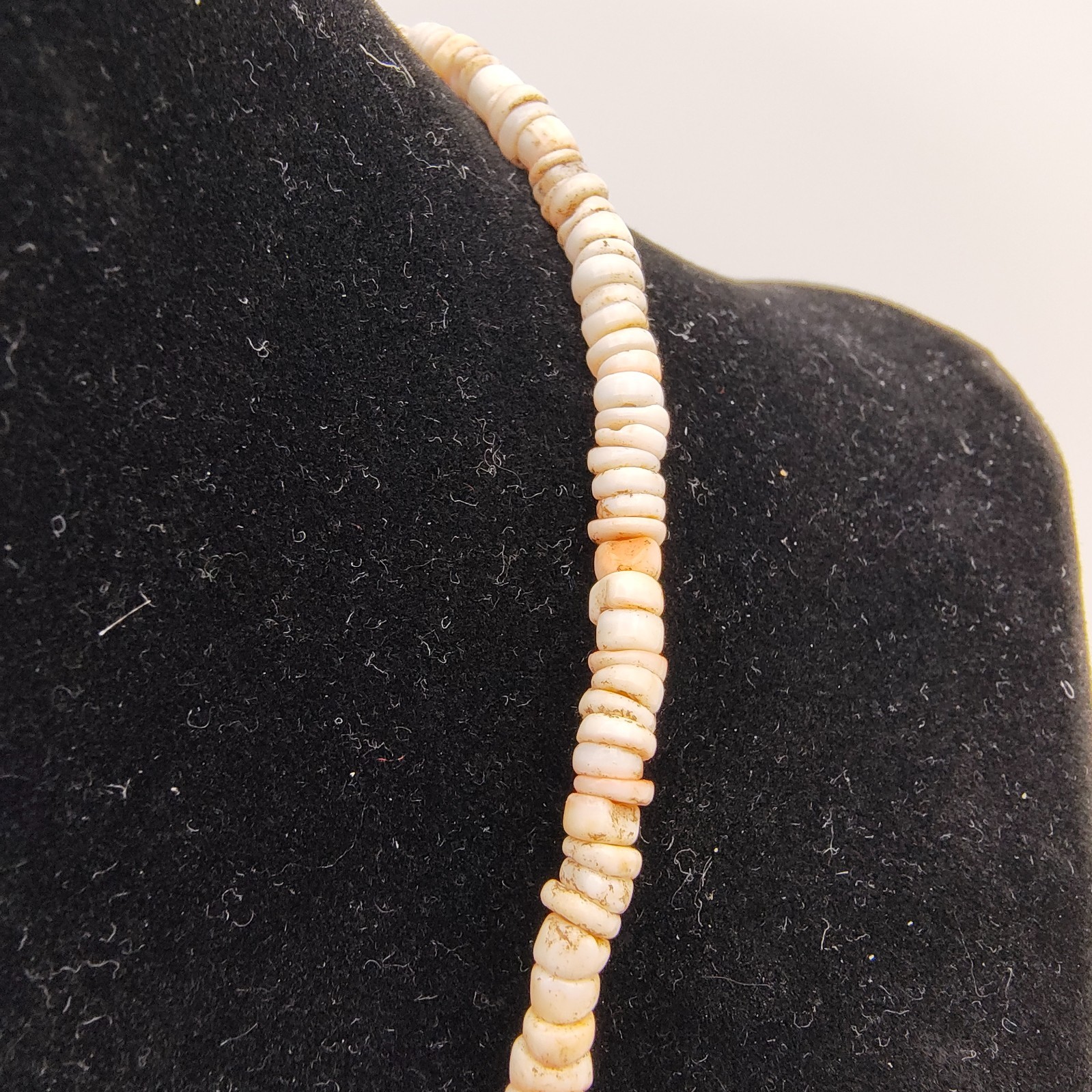 Vintage Spiny Shell Choker Necklace Natural Bohemian Beach Surfer Vibe 16″