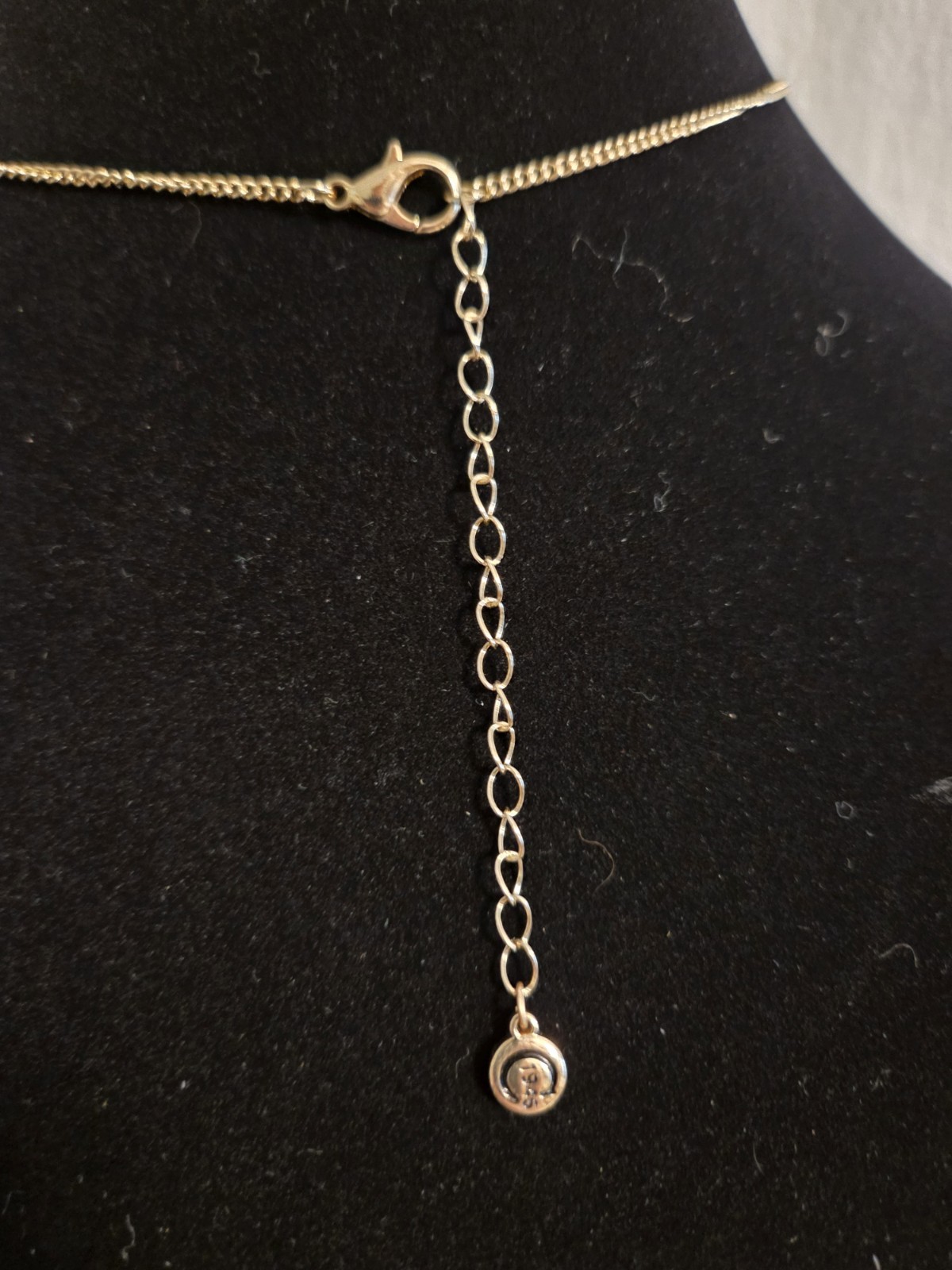 NEW!! Signed C1946 Ring Necklace Delicate Tone Circles 16″ +3″