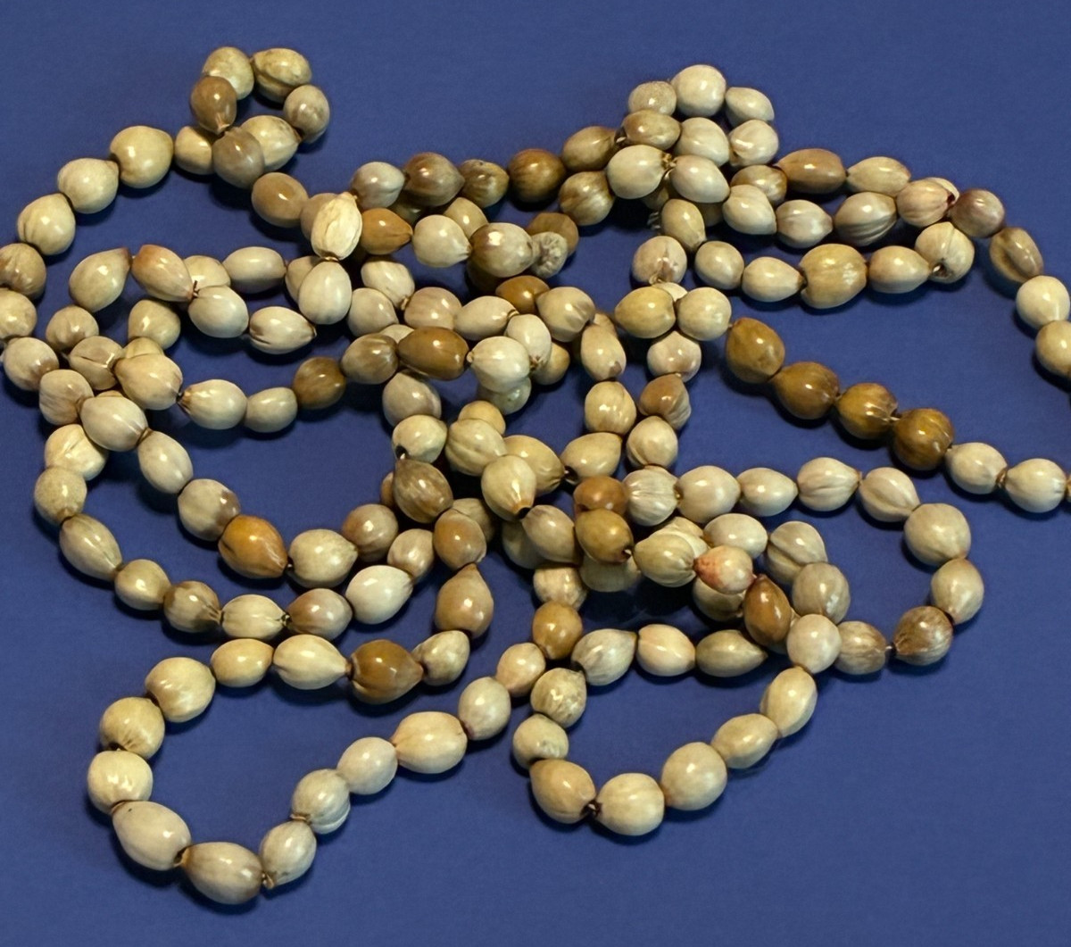 Long Natural Tropical Seed Necklace – Earthy Organic Boho Jewelry-Ethnic-Beachy