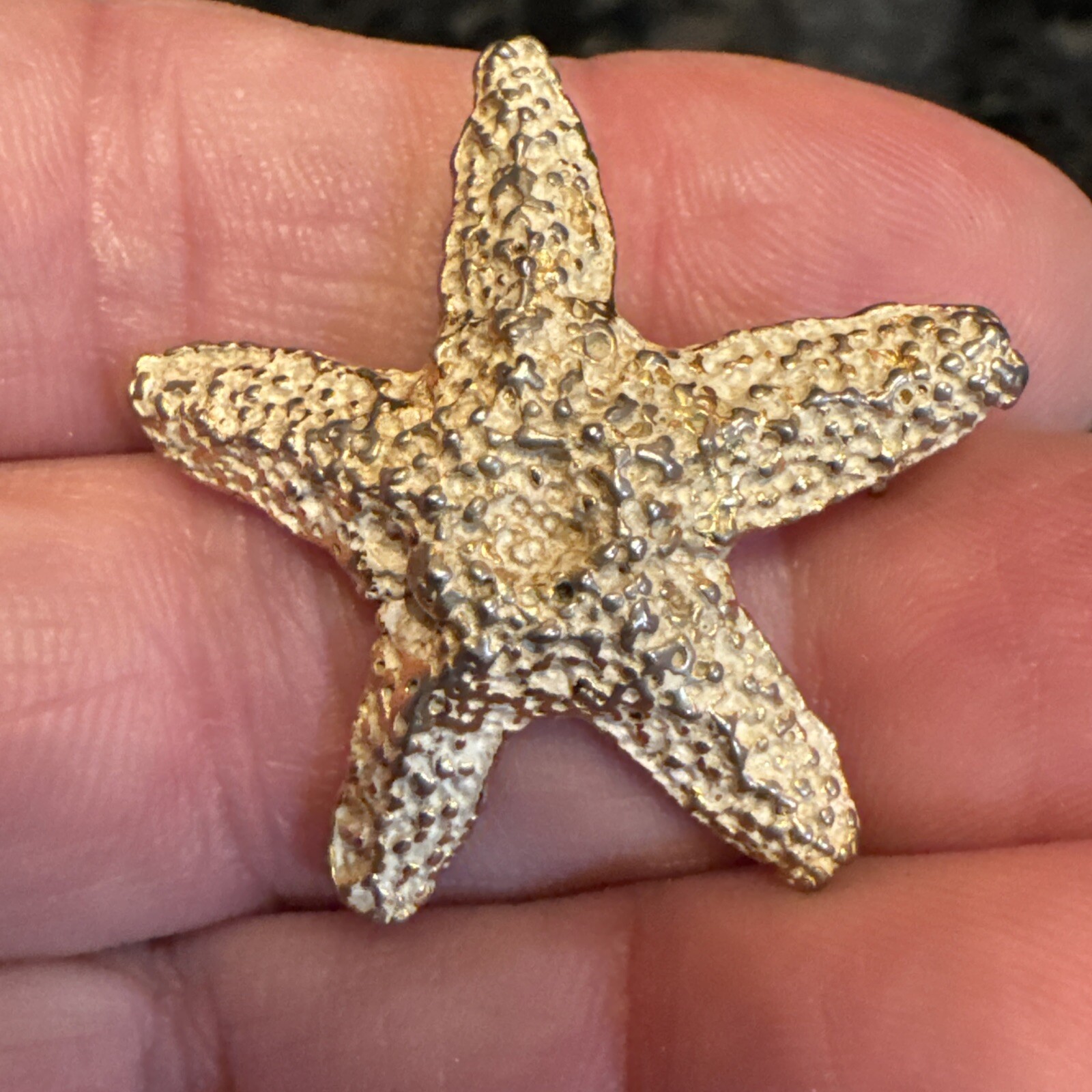 Zentall Vntg Rare Gold Tone TexturedStar Fish 1 1/4″ Brooch Pin Signed