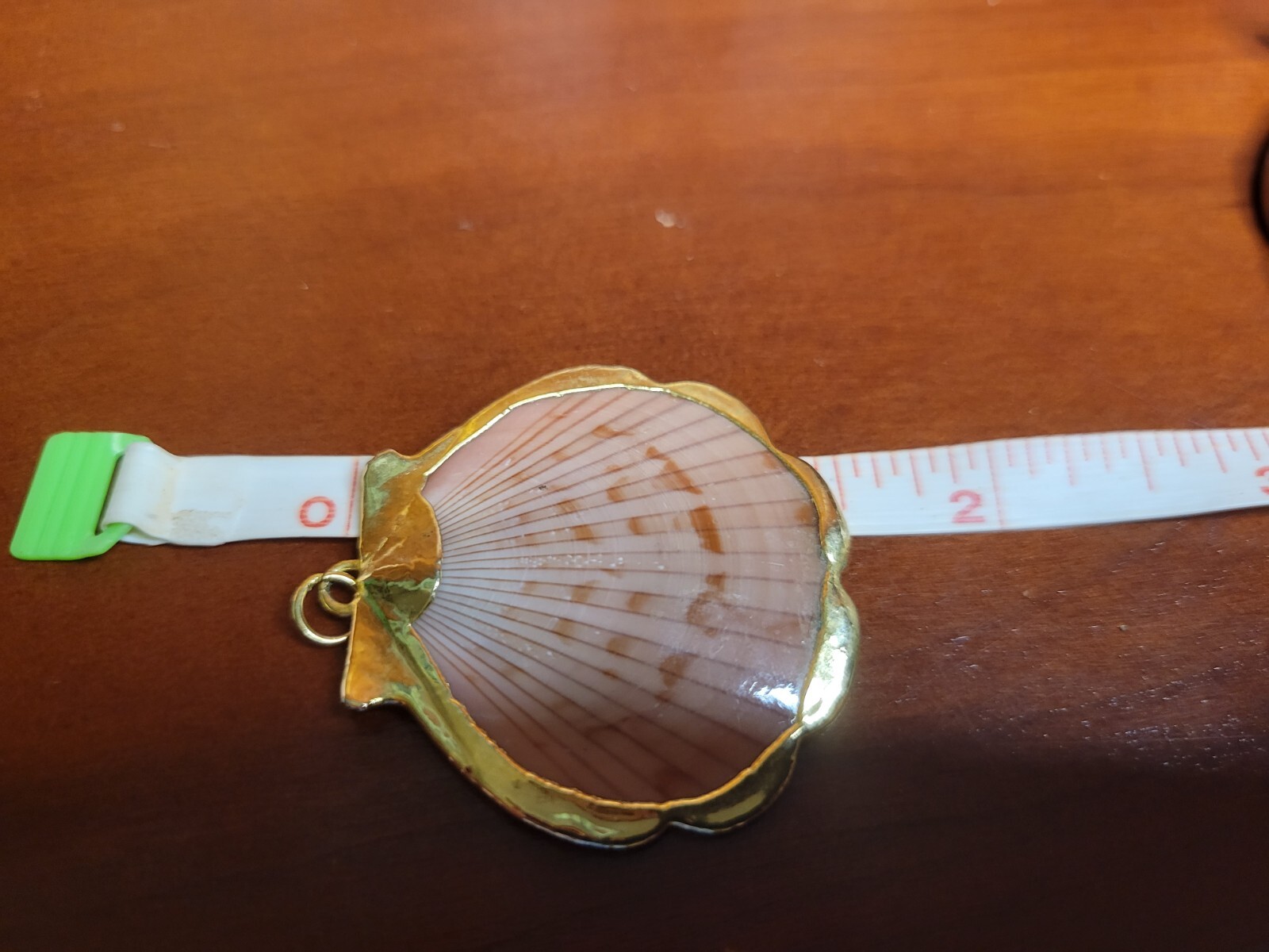 Natural Sea Shell Gold Trim Pendant