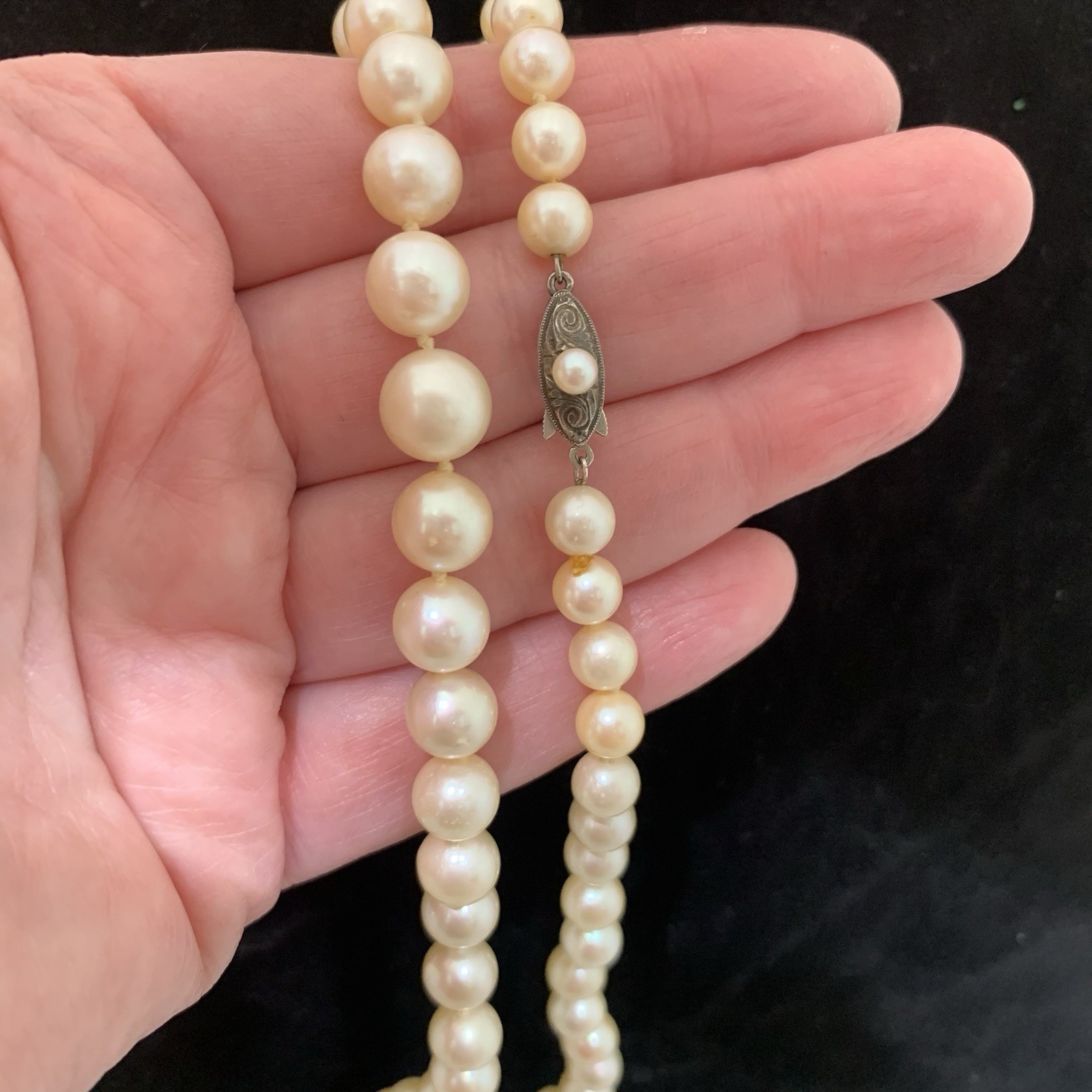 Hi Luster Fuji Akoya Pearl Necklace Strand Cream Graduated AAA+ 10mm VTG 19” WOW