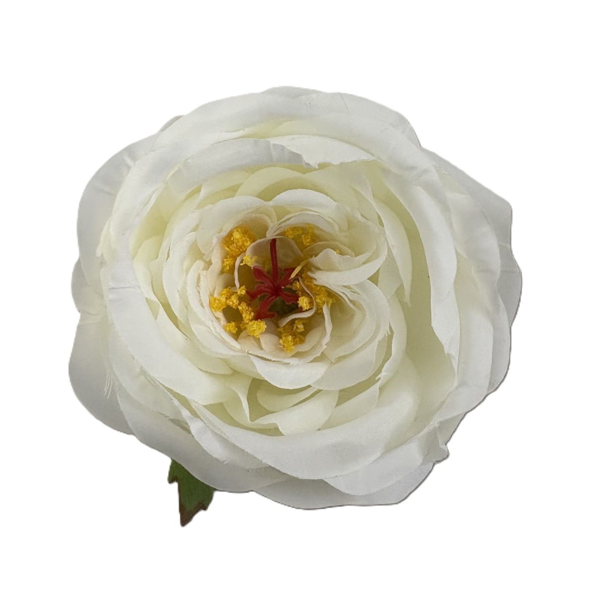 English Garden Rose Hair Clip and Pin Brooch, 4.5 inch Artificial Flower, White